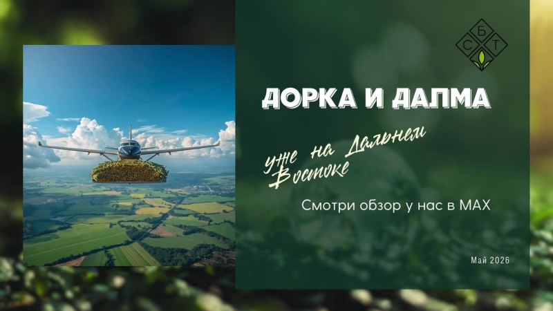 Дорка и Далма уже на Дальнем Востоке!